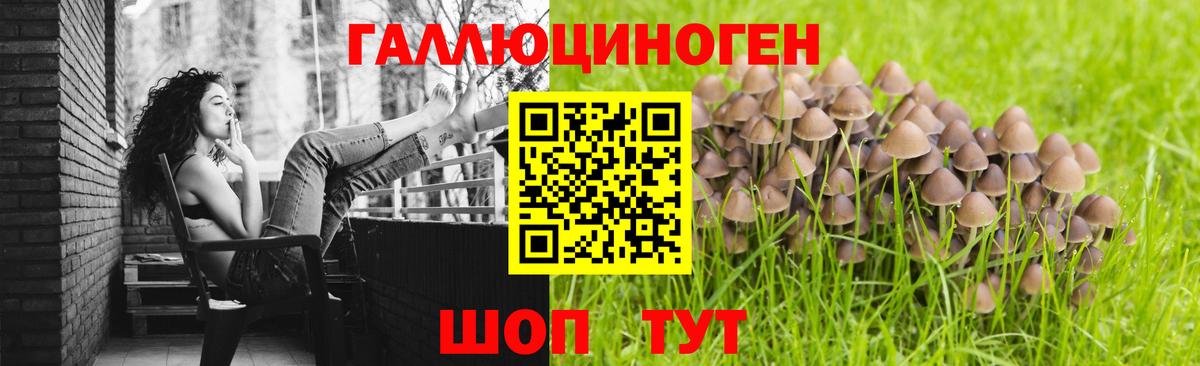 Галлюциногенные грибы Psilocybine cubensis  Вход с VPN  Луга 